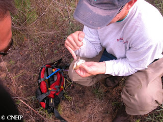 Rob Schorr with Preble's meadow jumping mouse