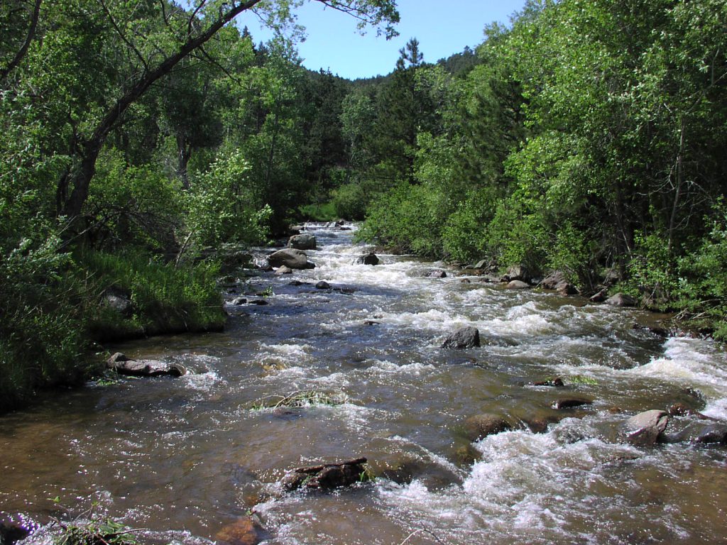 Overview of Wetland Types