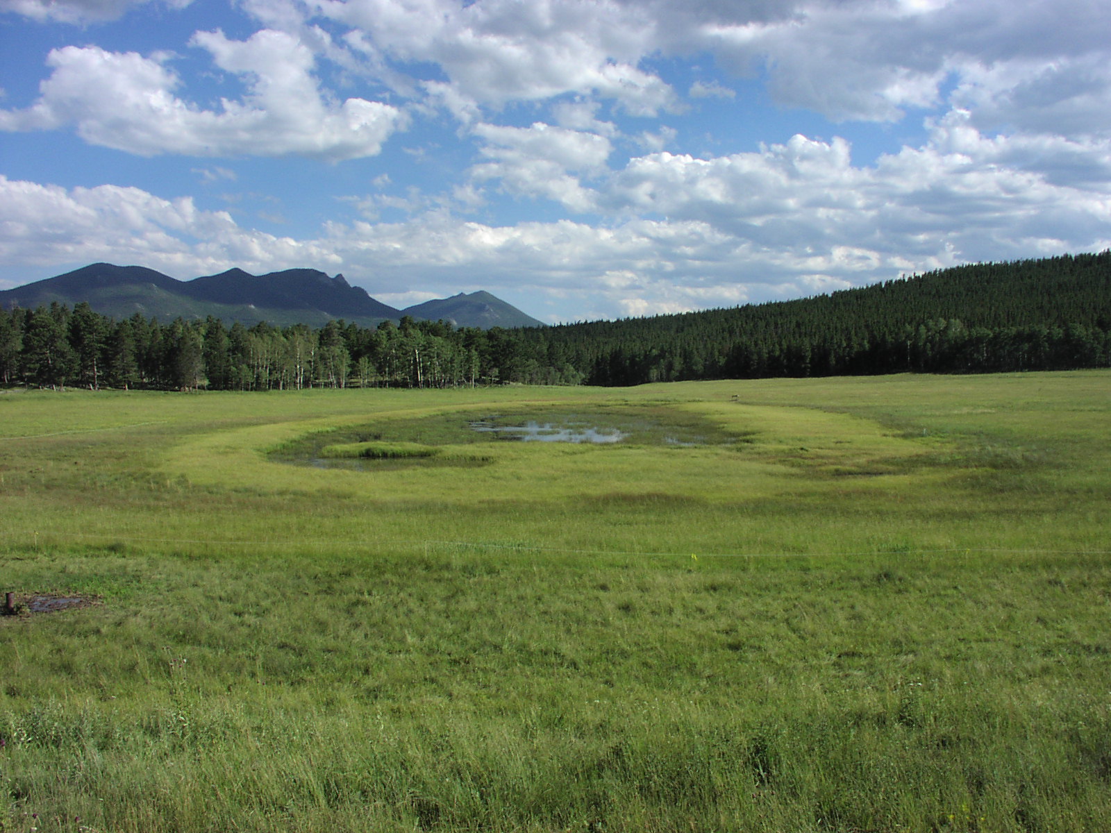 Fen Mapping - Colorado Wetland Information Center