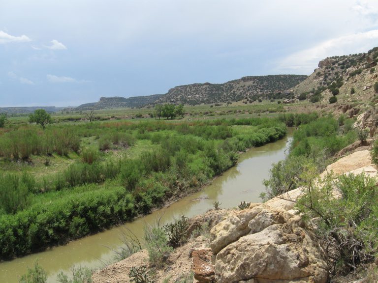 Colorado Wetland Plan