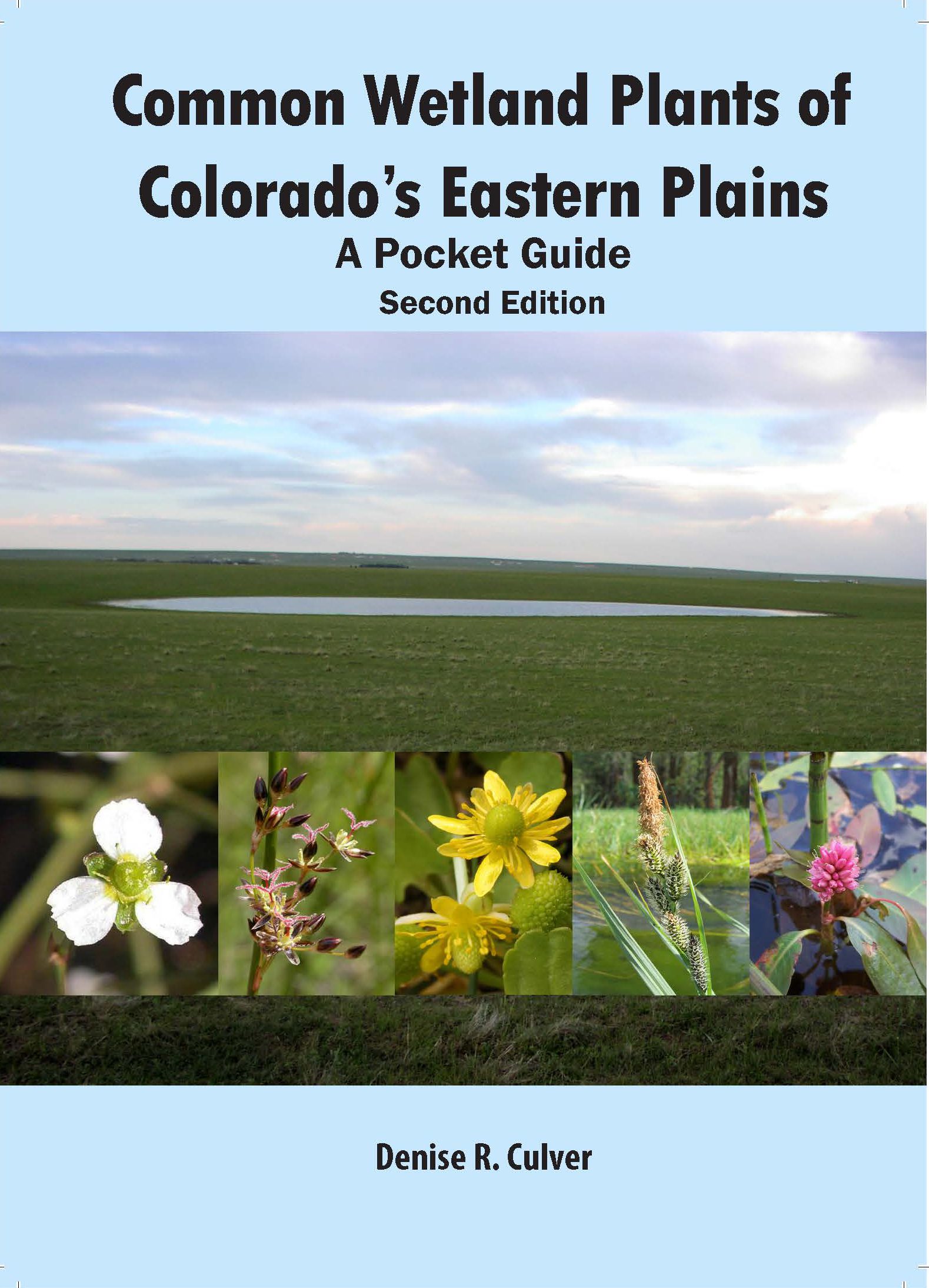 Common Wetland Plants of Colorado's Eastern Plains: A Pocket Guide Second Edition