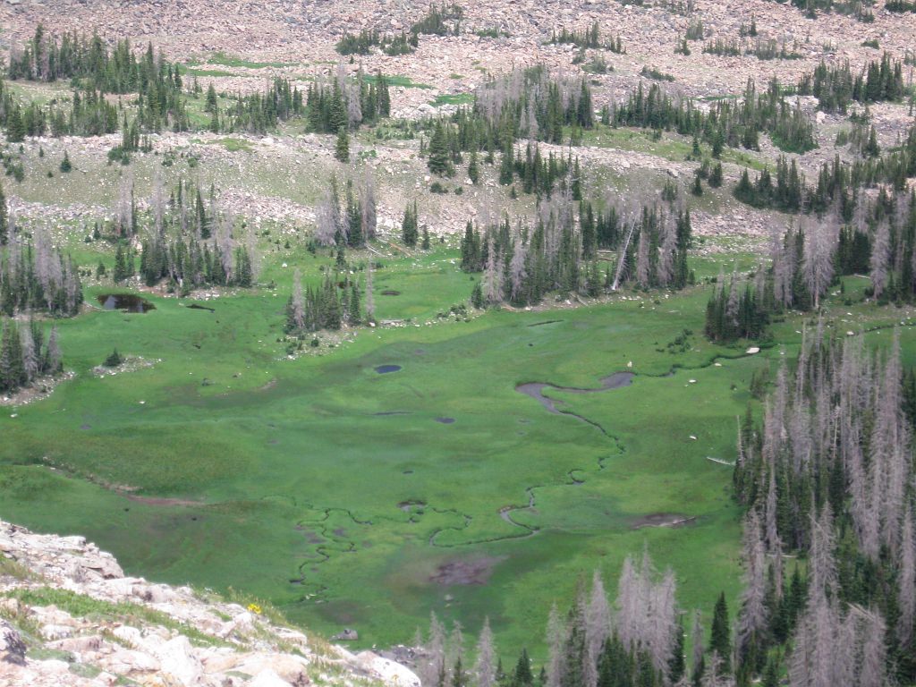 Fen Mapping - Colorado Wetland Information Center