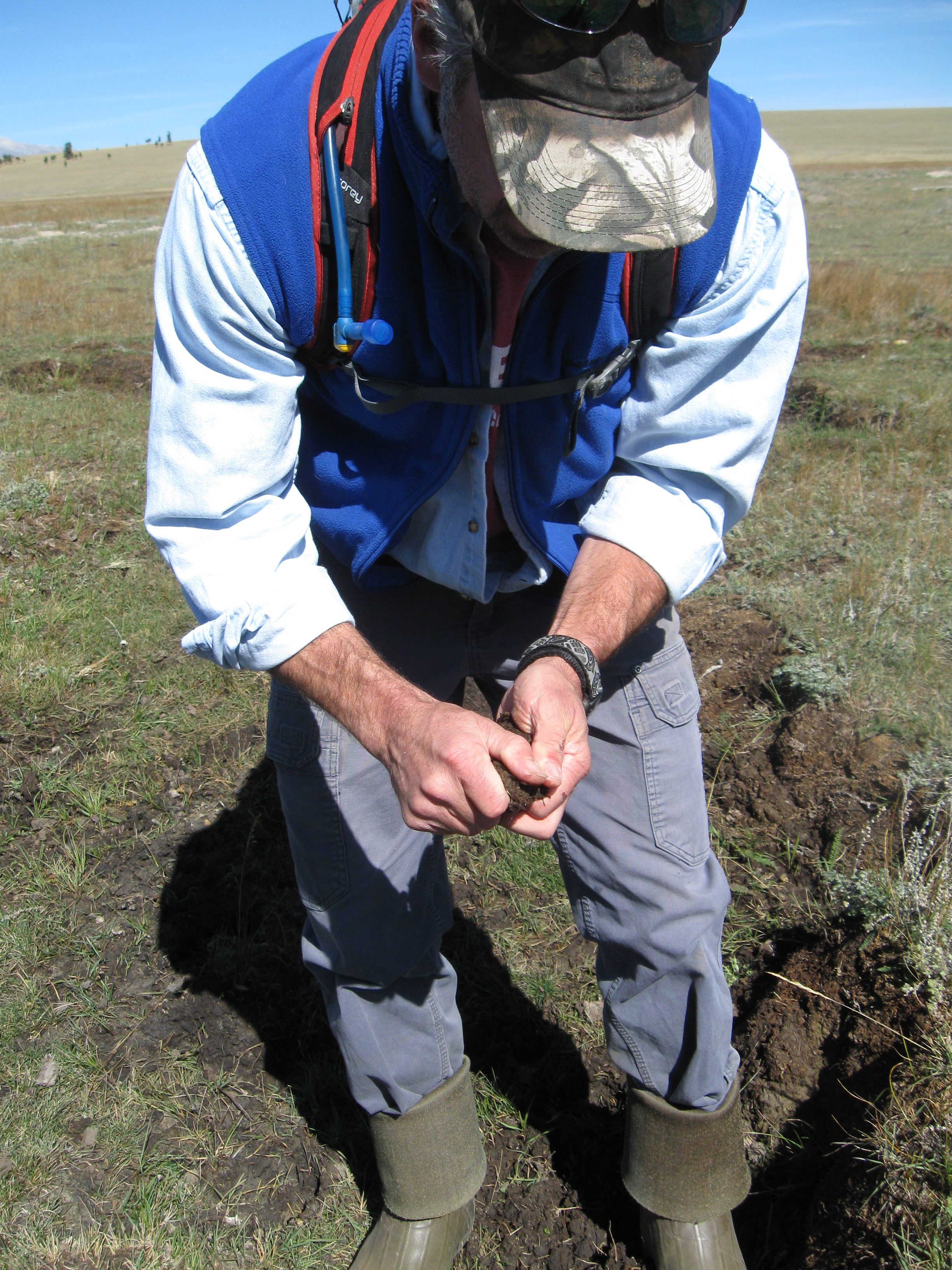 Brad Johnson examines degraded wetland soil. Joanna Lemly, CNHP.