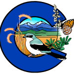 loader image