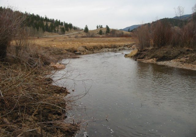 Taryall Creek riparian and stream restoration site, 2005. Mark Beardsley, EcoMetrics.