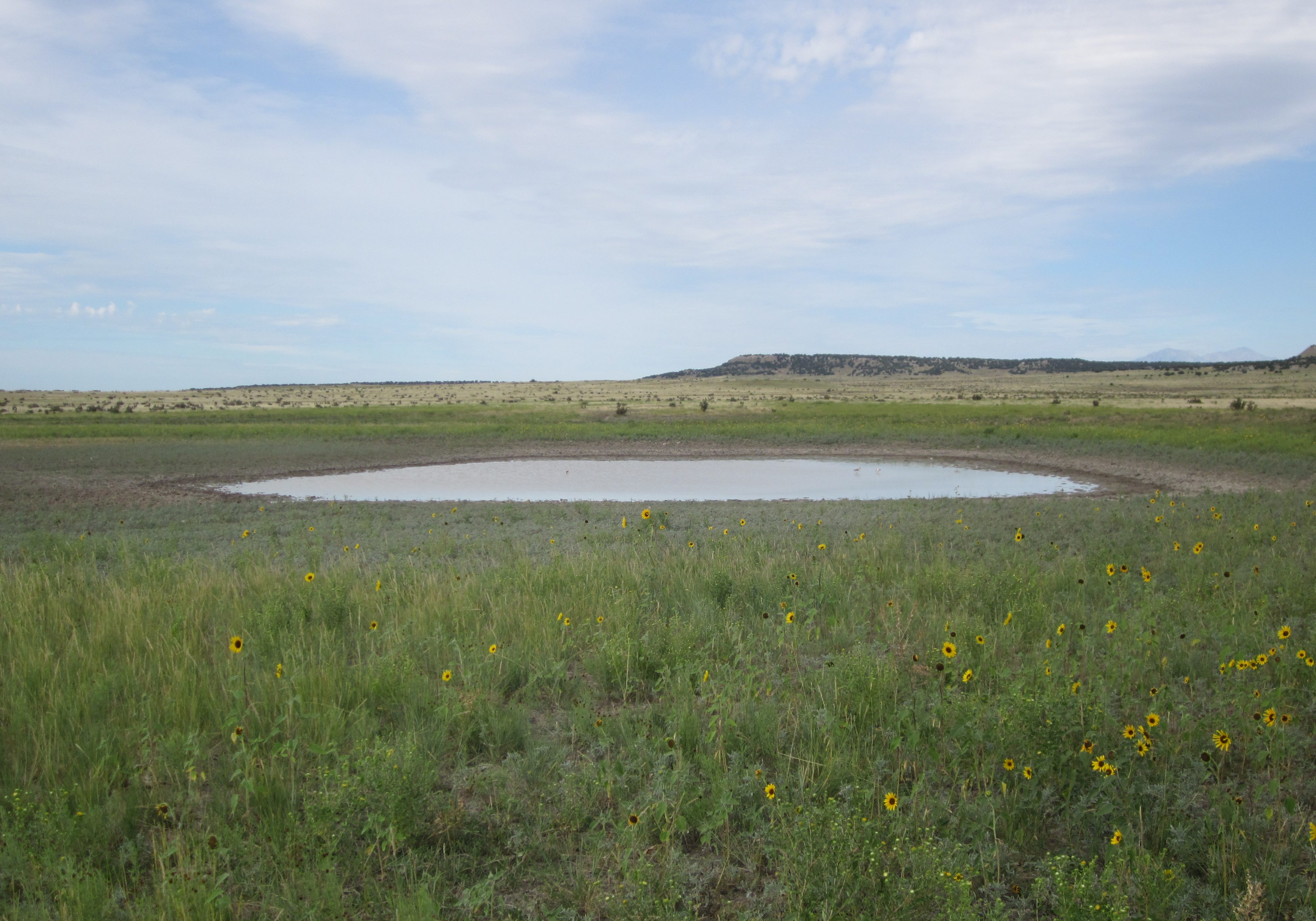 Great Plains playa in the Arkansas Basin. Joanna Lemly, CNHP.