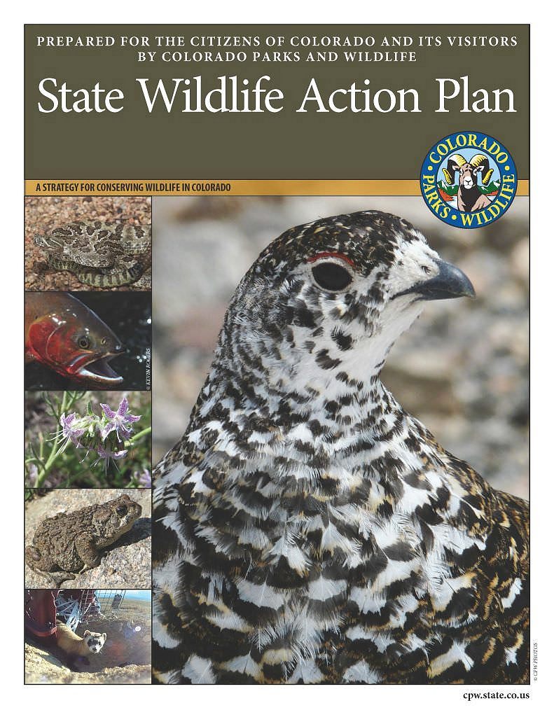 State Wildlife Action Plan Cover