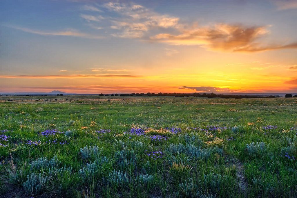 Ecological Systems of Colorado - Colorado Natural Heritage Program