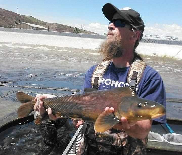 STReaMS - Endangered Fishes Database - Colorado Natural Heritage Program