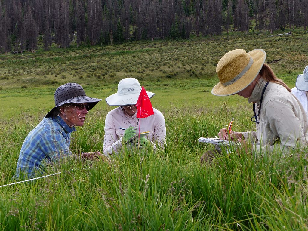 CNHP and BLM Ecologists test preliminary wetland monitoring methods.