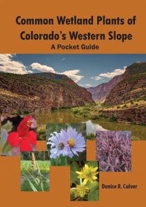 Colorado Wetland Field Guide - Colorado Natural Heritage Program