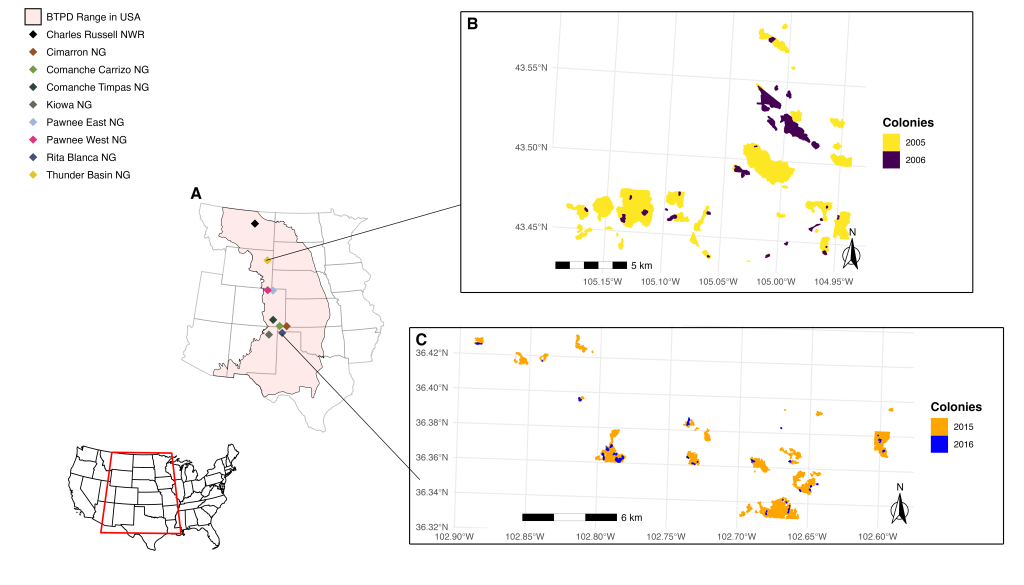 (a) The range distribution (pink polygon) of black-tailed prairie dogs in central North America, with colored diamonds denoting the location of each grassland included in the PDOG MAPR project. (b) Example of a plague outbreak at Thunder Basin National Grassland, whereby many colonies suffered extensive die-offs due to plague during 2005–2006. (c) Example of a plague outbreak at Rita Blanca National Grassland, whereby many colonies suffered extensive die-offs due to plague during 2015–2016.