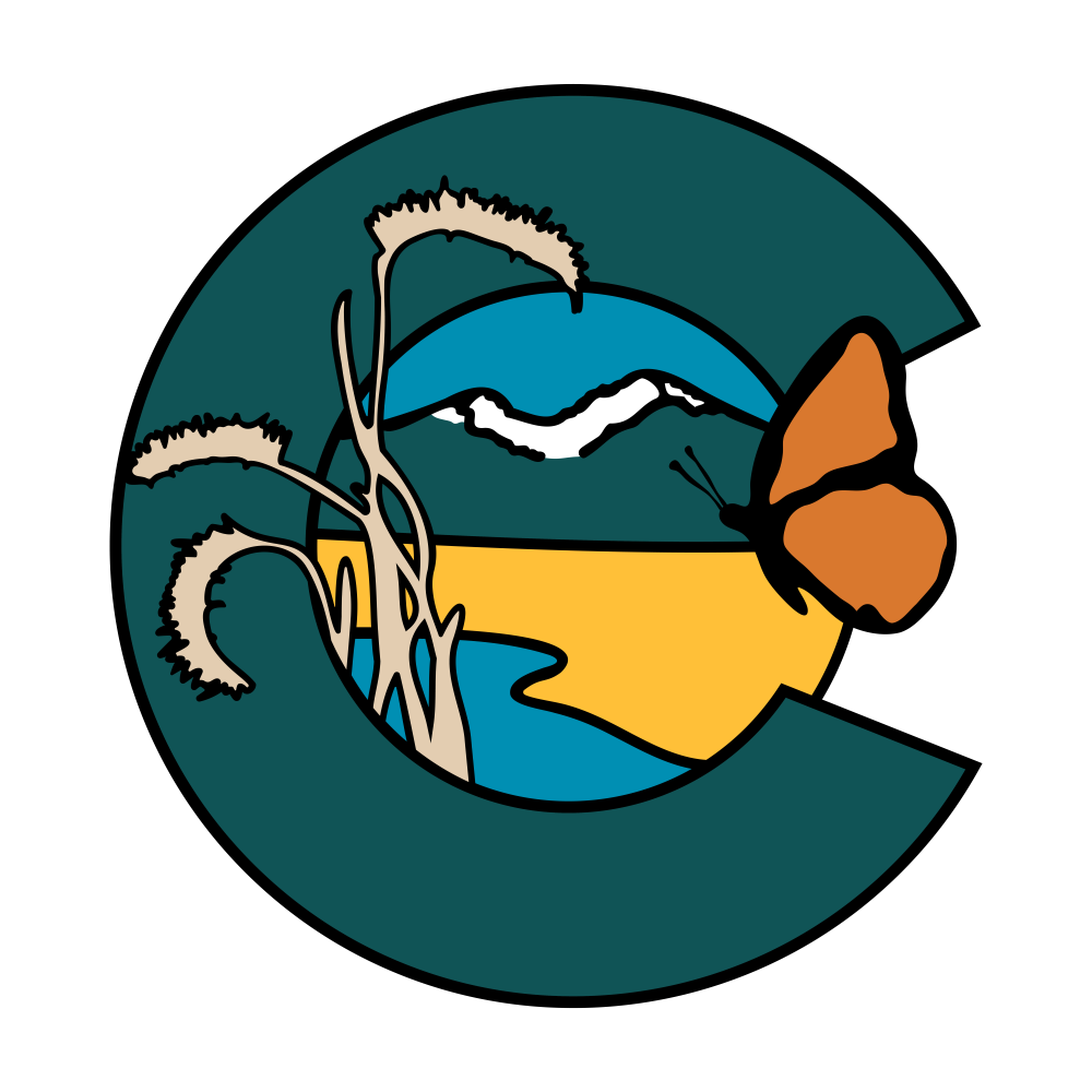 loader image