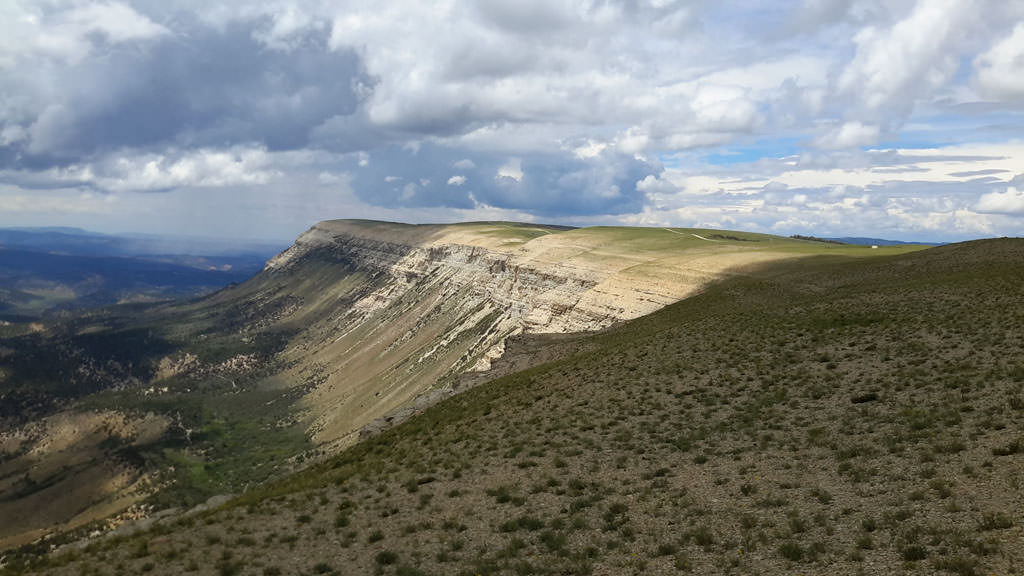 Habitat of Gentianella tortuosa by Jessica Smith.