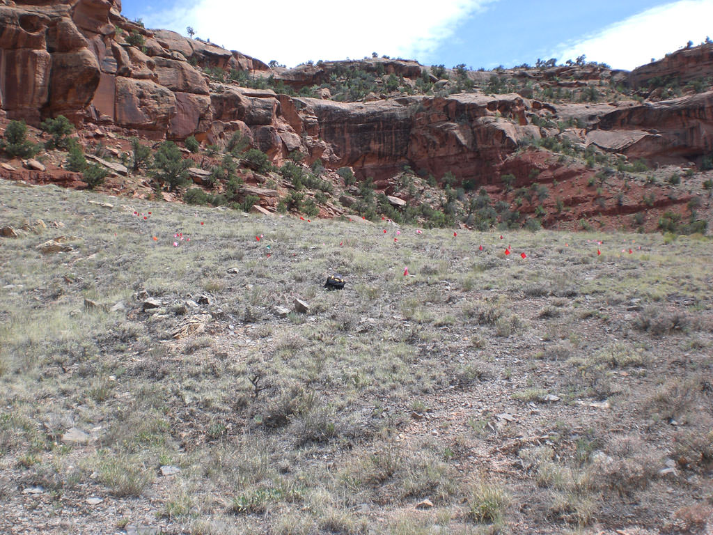 Habitat of Sclerocactus glaucus by Peggy Lyon