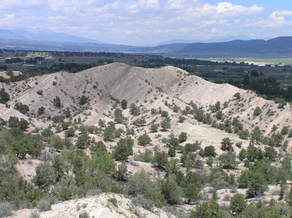 Habitat of Townsendia fendleri by Stephanie Neid