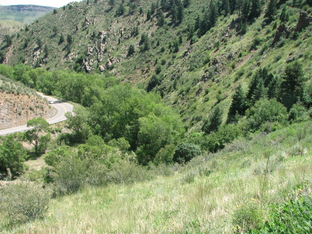 Habitat of Physaria vitulifera by Pamela Smith.