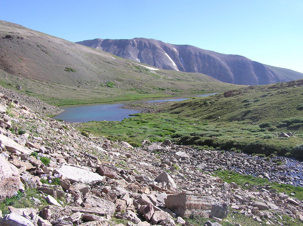 Habitat of Eutrema penlandii by Jill Handwerk