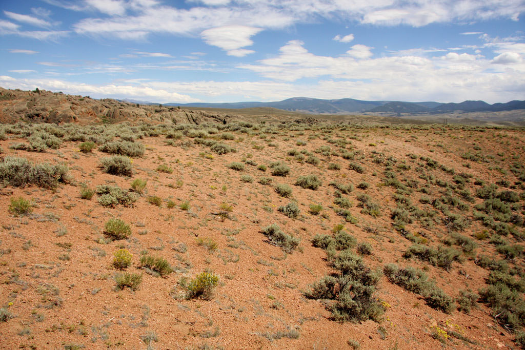 Habitat of Physaria rollinsii by Scott Smith