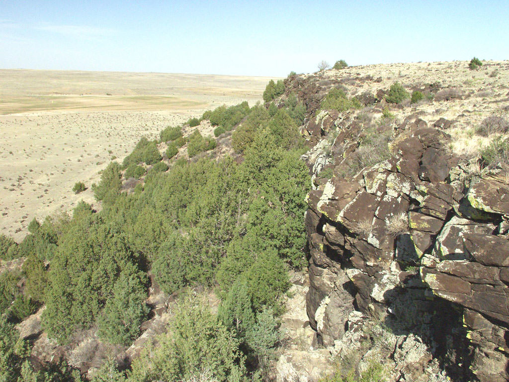 Habitat of Argyrochosma fendleri by Michael Figgs