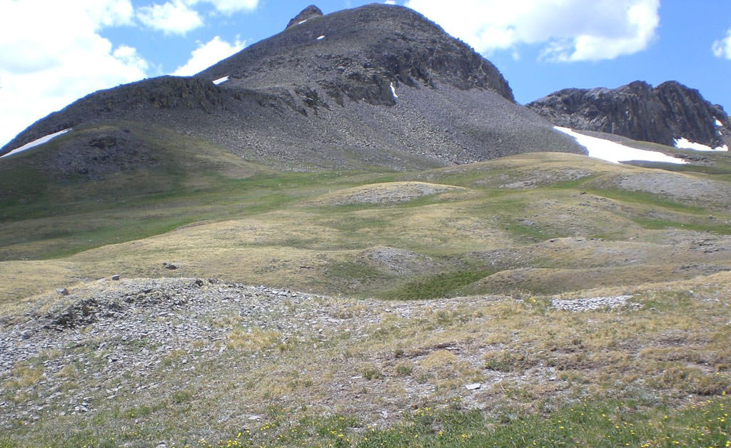 Habitat of Descurainia kenheilii by Peggy Lyon