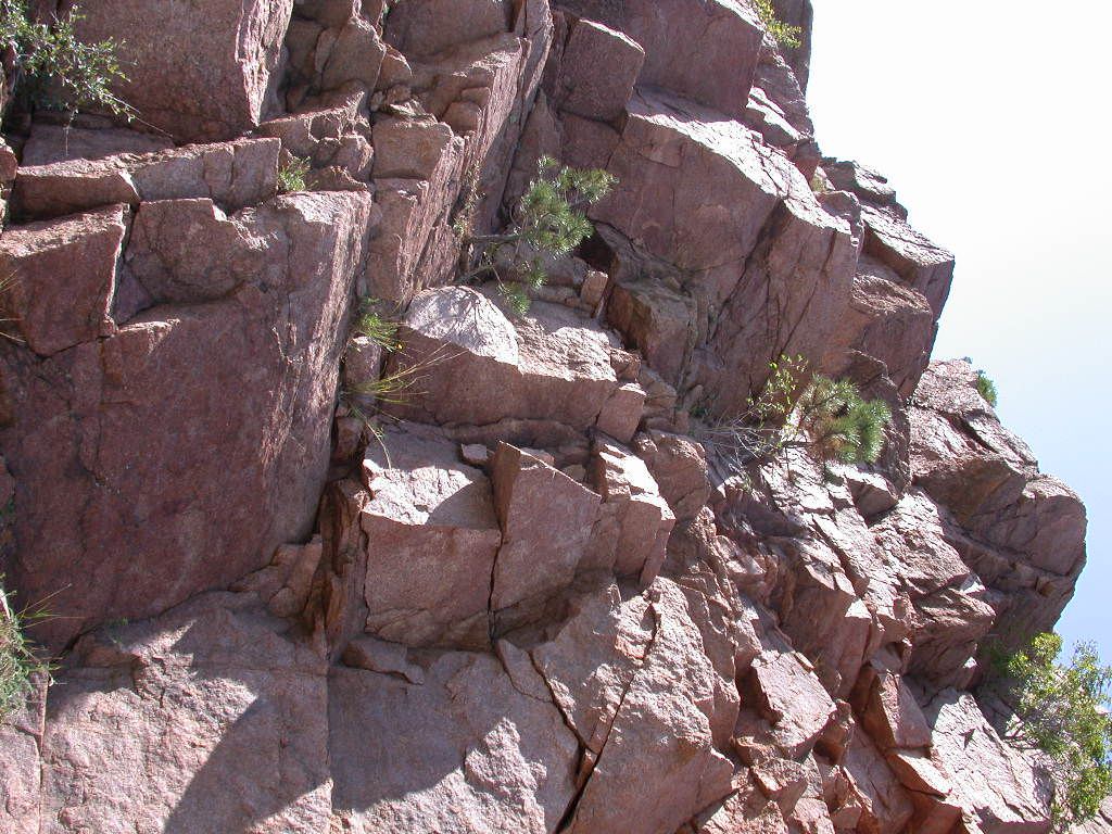 Habitat of Potentilla rupincola by David Anderson.