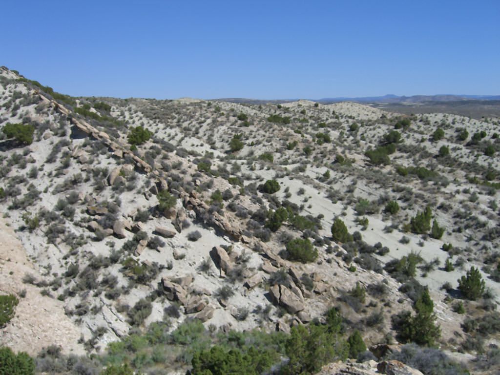 Habitat of Oreocarya rollinsii by Janis Huggins.