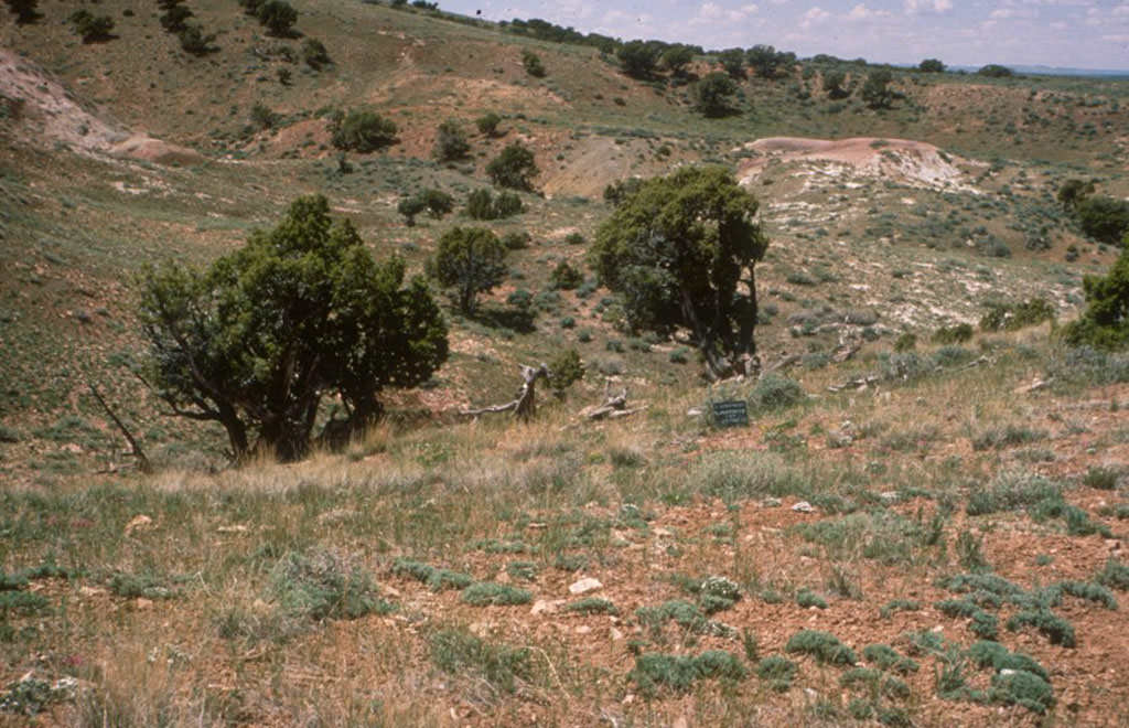 Habitat of Astragalus detritalis courtesy of the Colorado Natural Areas Program.