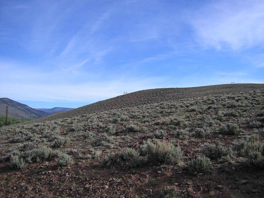 Habitat of Astragalus anisus by Bernadette Kuhn