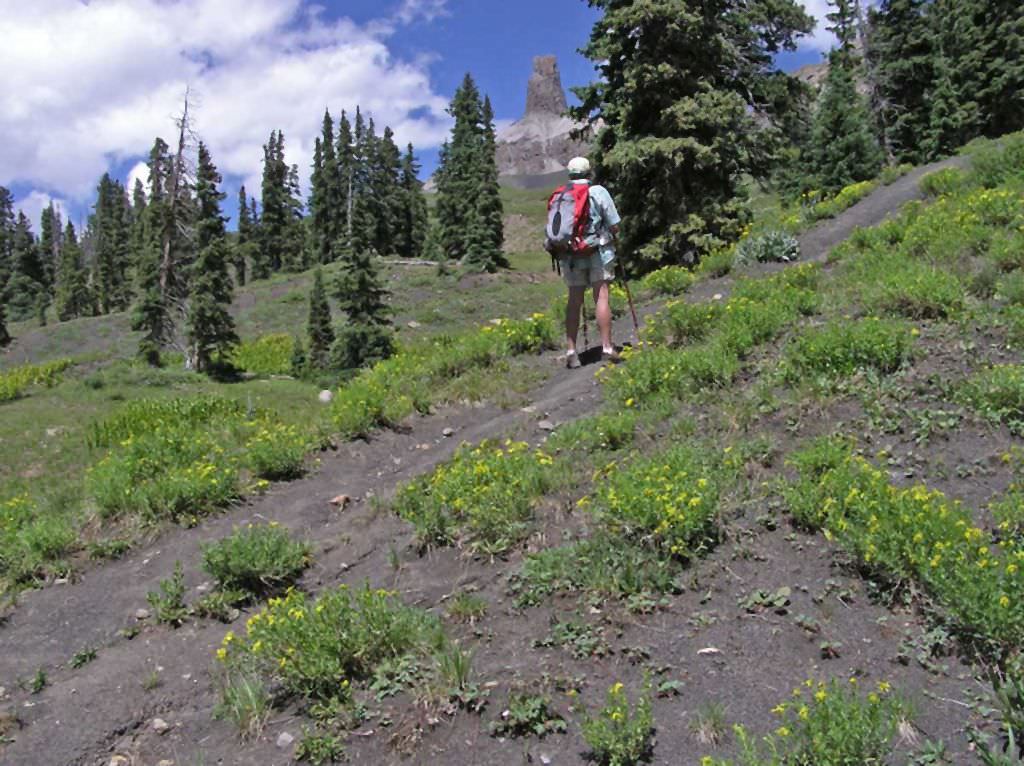 Habitat of Senecio inexpectatus by Al Schneider.
