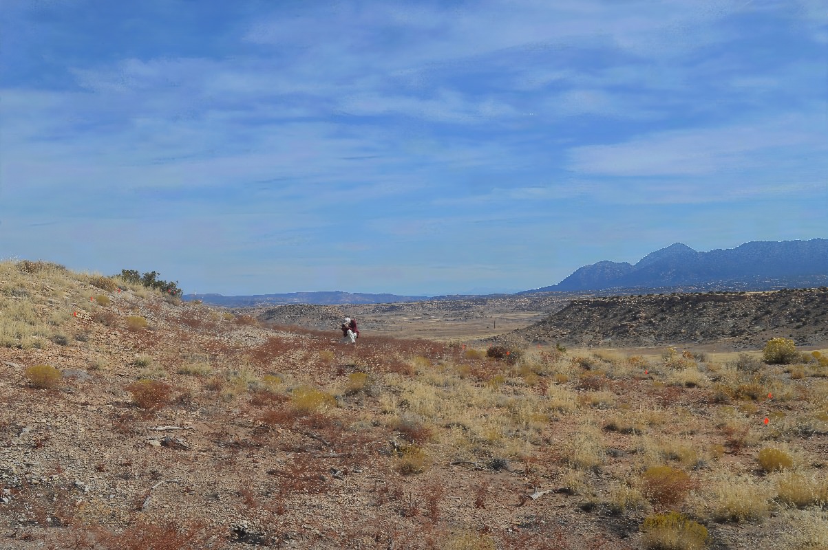 Habitat of Eriogonum scabrellum by Marian Rohman.