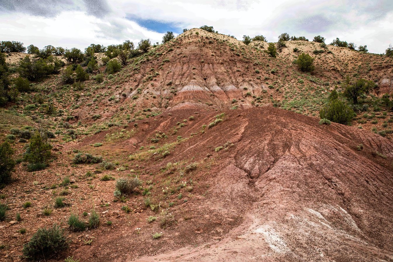 Habitat of Sclerocactus dawsoniae by Phil Krening.