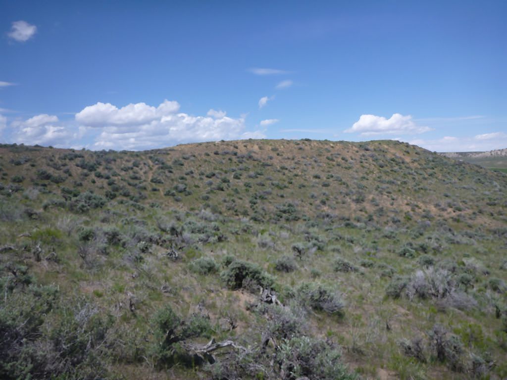 Habitat of Penstemon yampaensis by Carol English.