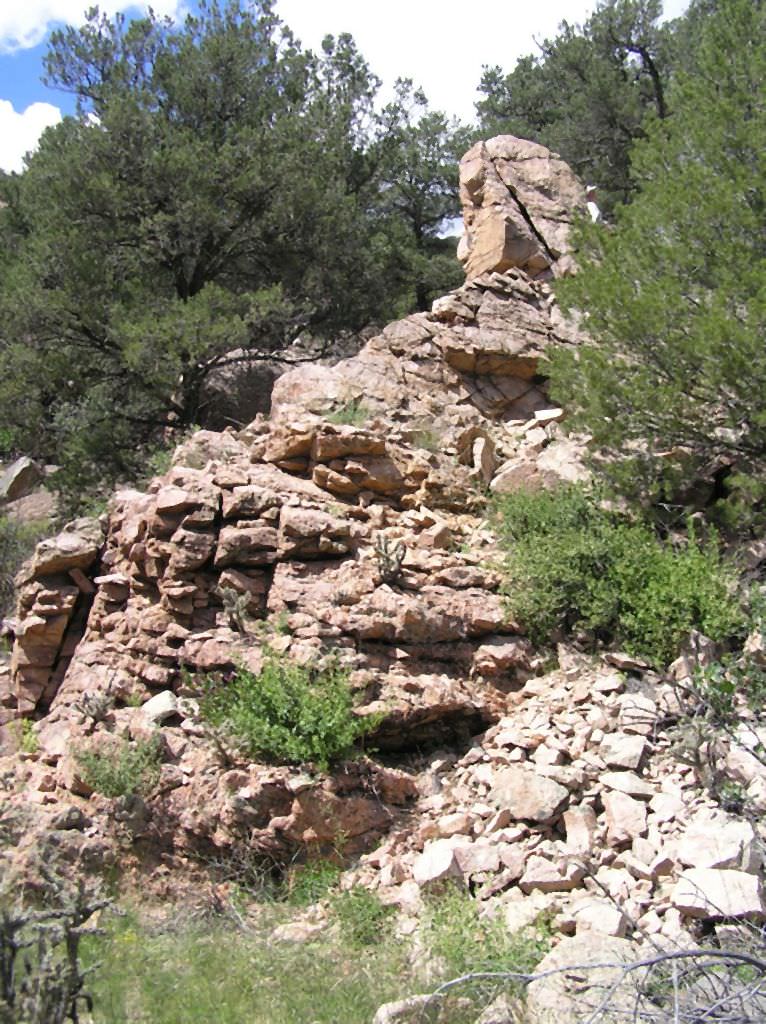 Habitat of Argyrochosma fendleri by Steph Neid.