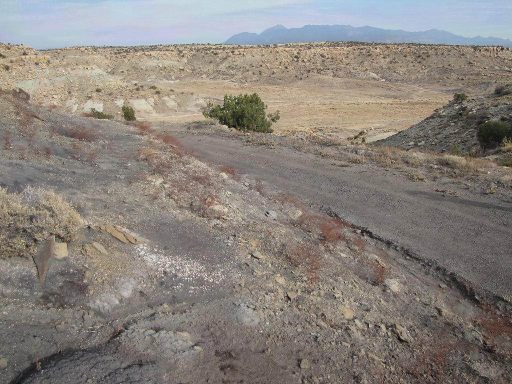 Habitat of Eriogonum scabrellum by Marian Rohman.