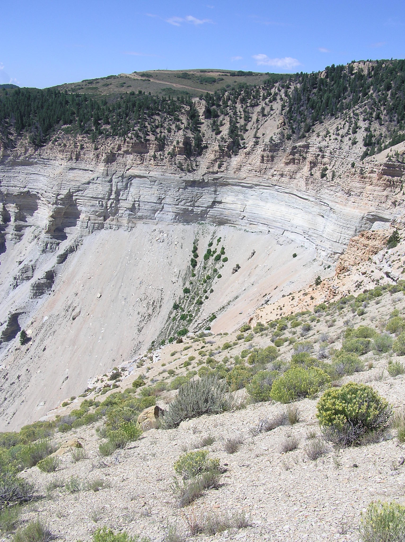 Habitat of Mentzelia rhizomata by Jill Handwerk.