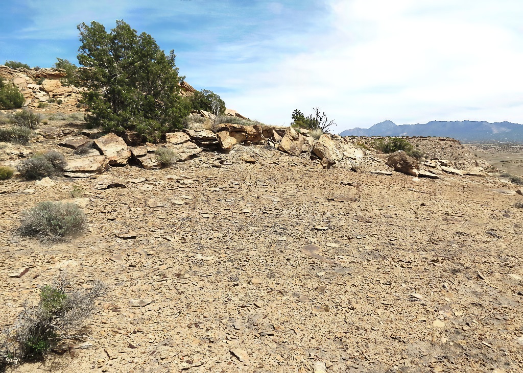 Habitat of Eriogonum scabrellum by Marian Rohman.