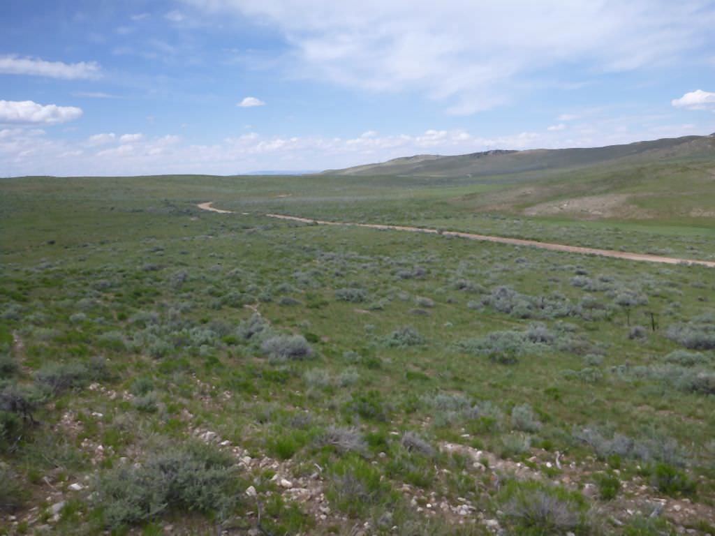 Habitat of Penstemon yampaensis by Carol English.