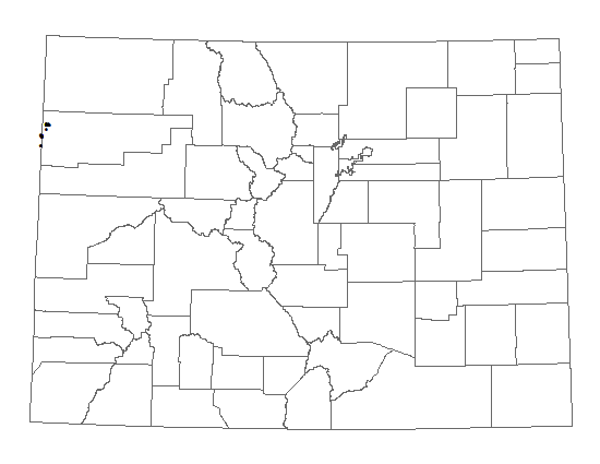 Distribution of <i>Penstemon scariosus</i> var. <i>albifluvus</i> in Colorado.