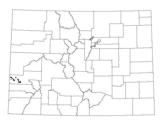 Distribution of Lupinus crassus in Colorado. Distribution of <i>Lupinus crassus</i> in Colorado.
