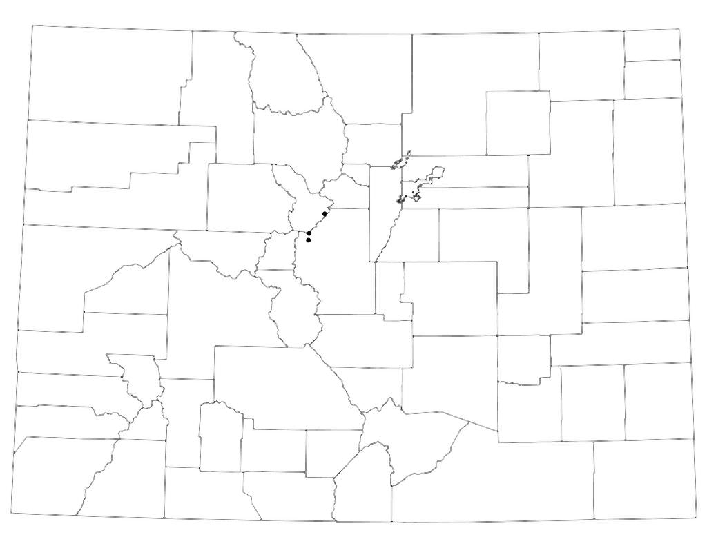 Distribution of <i>Armeria maritima ssp. sibirica</i> in Colorado.