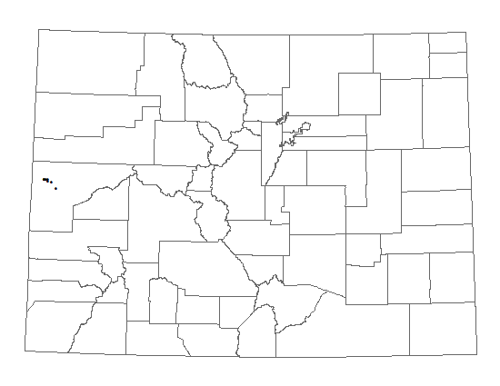 Distribution of <i>Aletes latilobus</i> in Colorado.