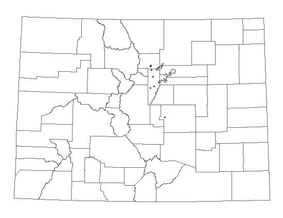 Distribution of Carex torreyi in Colorado. Distribution of <i>Carex torreyi</i> in Colorado.