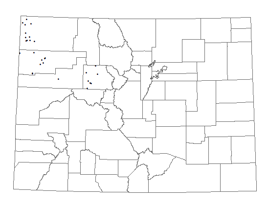 Distribution of Oreocarya stricta in Colorado. Distribution of<i> Oreocarya stricta</i> in Colorado.