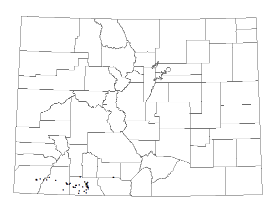 Distribution of <i>Townsendia</i> <i>glabella</i> in Colorado