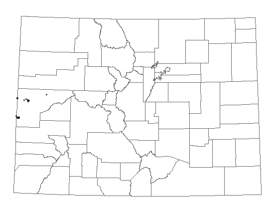 Distribution of Oreocarya osterhoutii in Colorado. Distribution of<i> Oreocarya osterhoutii in </i>Colorado.