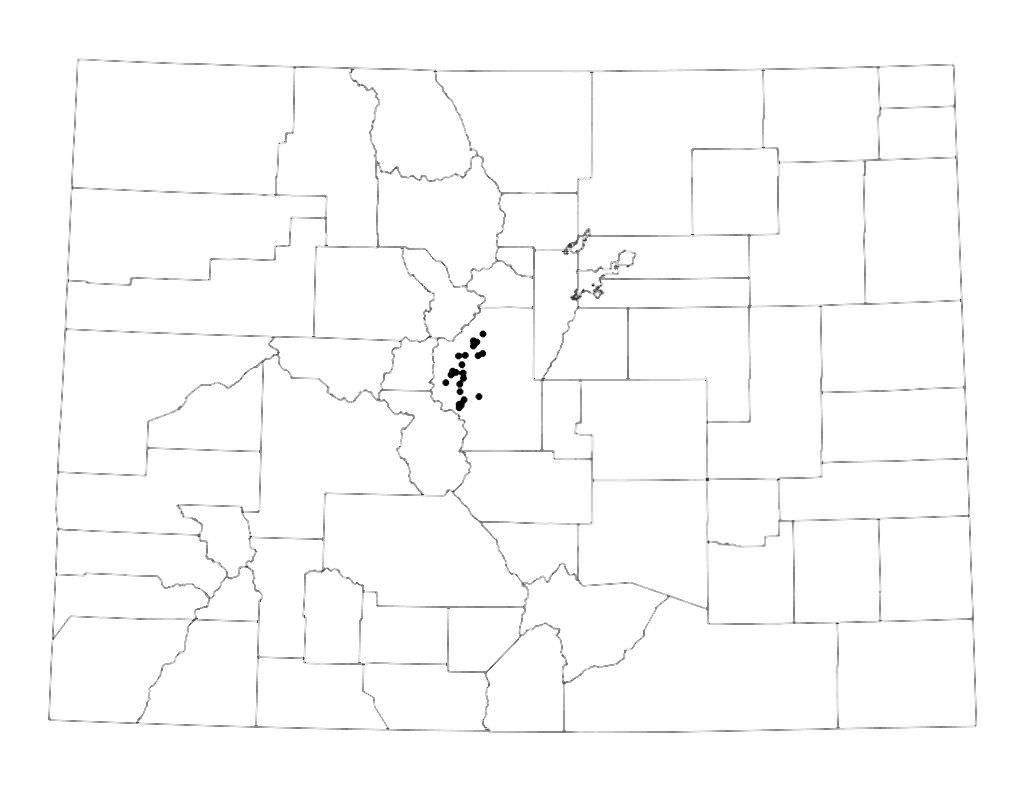 Close up of <i>Primula egaliksensis</i> courtesy of the Colorado Natural Areas Program.