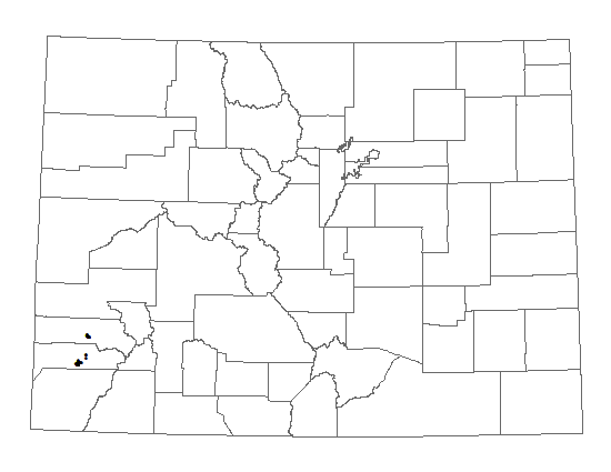 Distribution of <i>Physaria</i> <i>pulvinata</i> in Colorado