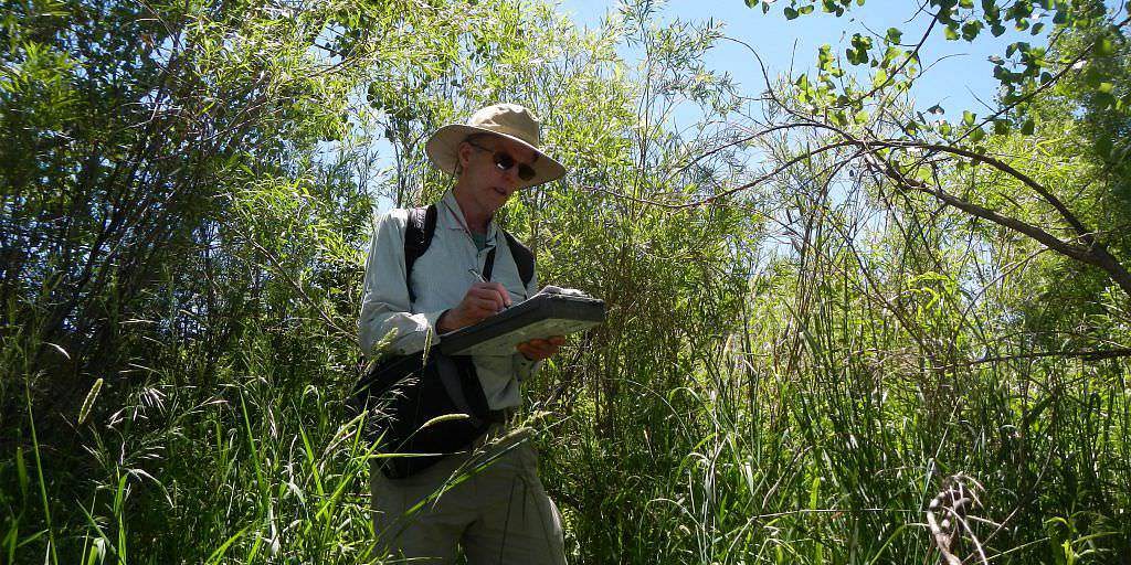 Scientist Rich Scully (CNHP volunteer) assessing wetland quality in an urban Denver metropark.