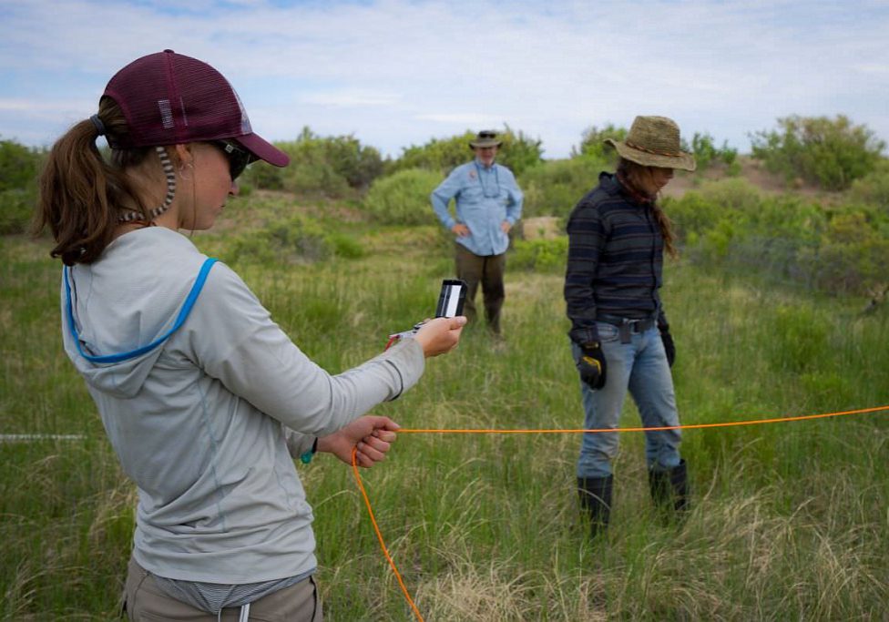 CNHP technicians work with National Park Service staff to monitor wetlands in Great Sand Dunes National Park. Photo by Phyllis Pineda Bovin.